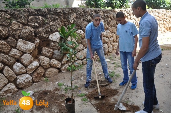 trees shamela 0321 (11).JPG